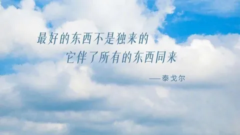 深度解析：切尔西盛赞彭德斯的坚韧意志，潜力无限，有望攀上足球巅峰